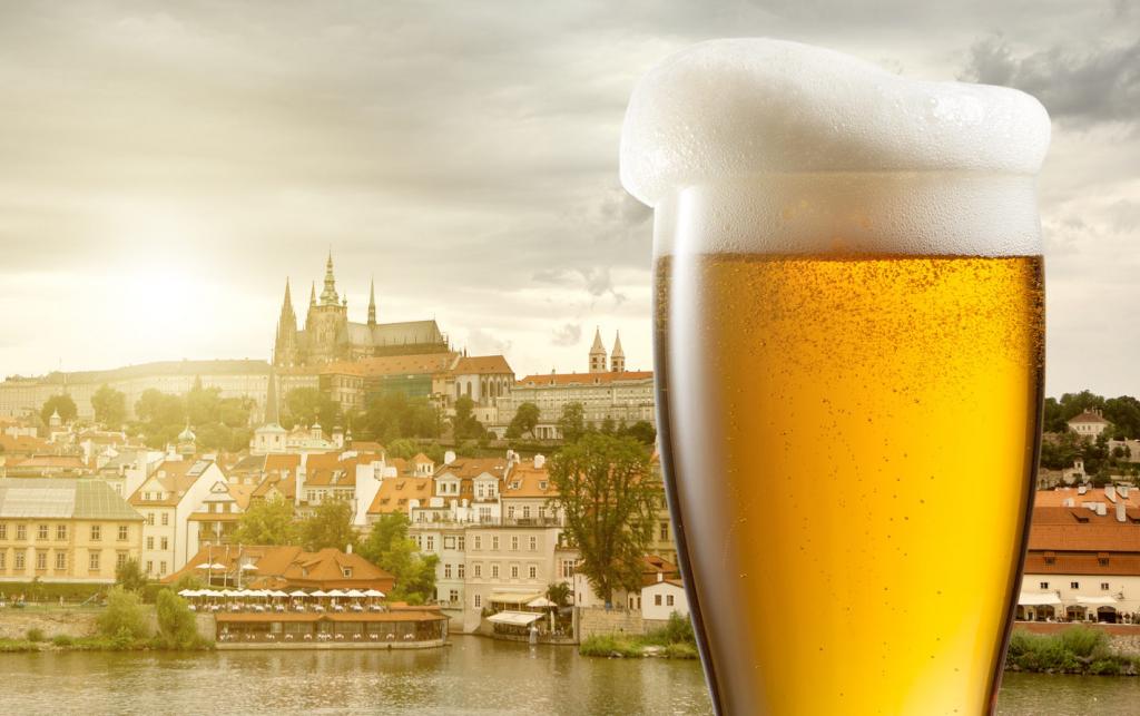 Чешская кухня. Что попробовать в Праге: национальные блюда и заведения путешествия,Путешествие и отдых