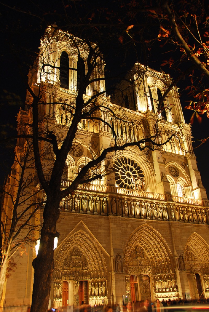 Подборка фотографий собора Парижской Богоматери вдохновение, архитектура, память, религия, фотографии
