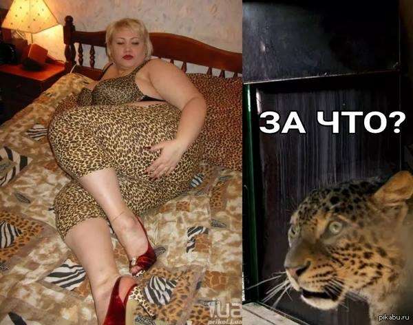 – Мама, папа, у меня новая работа! Я теперь секретарша!… Юмор,картинки приколы,приколы,приколы 2019,приколы про