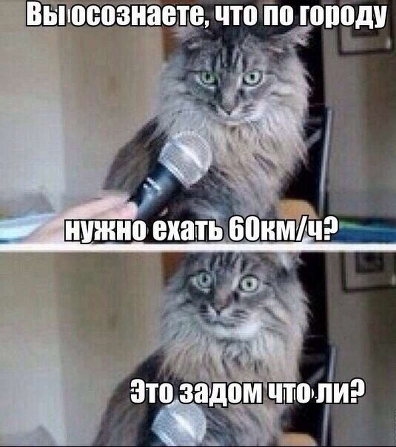 Зашли с сыном в магазин за молоком с хлебом. Он к шоколадкам… Юмор,картинки приколы,приколы,приколы 2019,приколы про