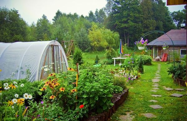 Прежде чем делать, подумай Анекдоты и истории,zen