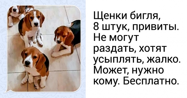 10 актуальных схем, которыми пользуются телефонные мошенники Интересное