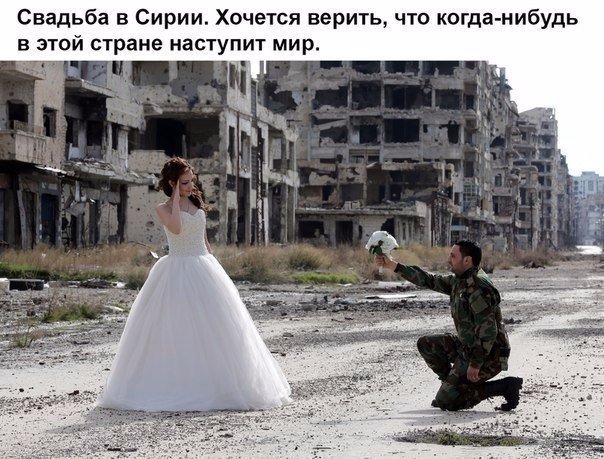 Веселые картинки и забавные фото с надписями со смыслом картинки с надписями,фото приколы