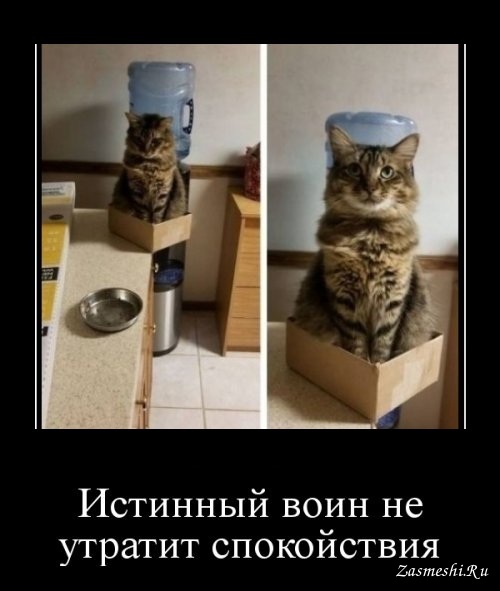 Прикольные и зачетные демотиваторы из нашей жизни со смыслом приколы,Свежие демотиваторы,юмор
