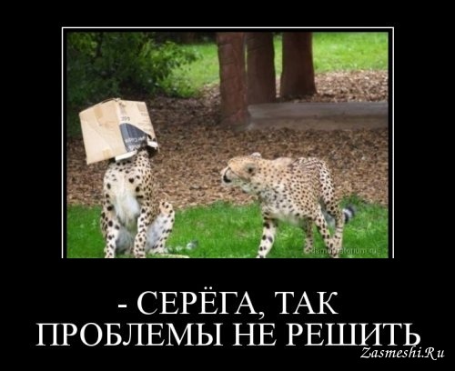 Прикольные и зачетные демотиваторы из нашей жизни со смыслом приколы,Свежие демотиваторы,юмор