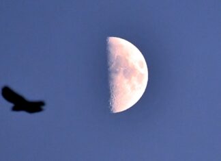 Rosnąca pierwsza kwadra Księżyca na tle gwiazd Wodnika: wydarzenie astronomiczne w listopadzie