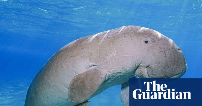 06a1f559-a9a1-4ec4-a3c3-7db0566eb261