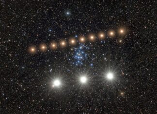 Mars i Wenus „przelatują” przez rój pszczół w rzadkim układzie niebieskim