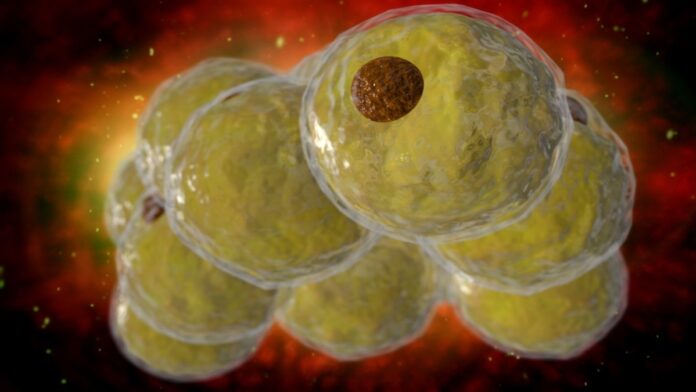 3098325e-6315-416f-b5b9-4bc443d374c0