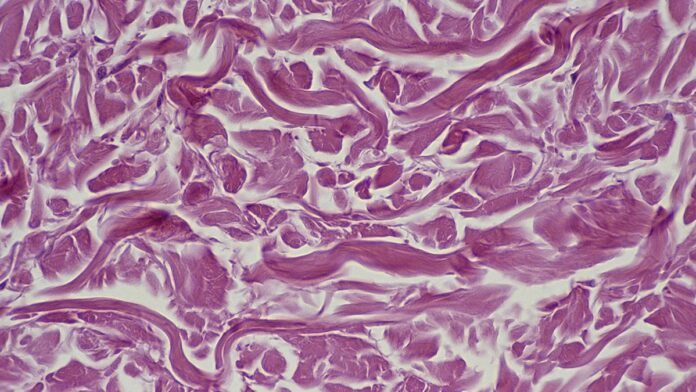 3aed018f-224e-43ba-a58b-9e3b42b8b245