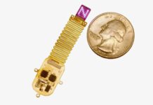 Brain-Machine Interface gebruikt licht om neurale activiteit direct te stimuleren