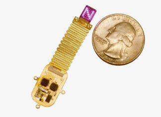 Interface cérebro-máquina usa luz para estimular diretamente a atividade neural