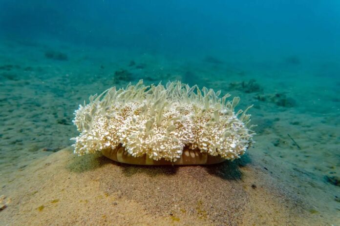 86c5e7f1-567e-44a6-bad4-4c0e9339584b