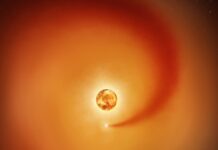 Potwierdzono satelitę Betelgeuse: ślad w atmosferze gwiazdowej potwierdza jego istnienie