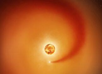 Betelgeuze’s metgezel bevestigd: Wakker worden in een sterrenatmosfeer levert definitief bewijs