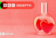 La scienza delle anime gemelle: perché “L’Uno” potrebbe essere un mito