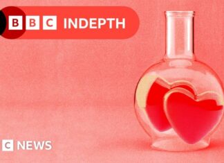 The Science of Soulmates: Why “The One” Might Be a Myth