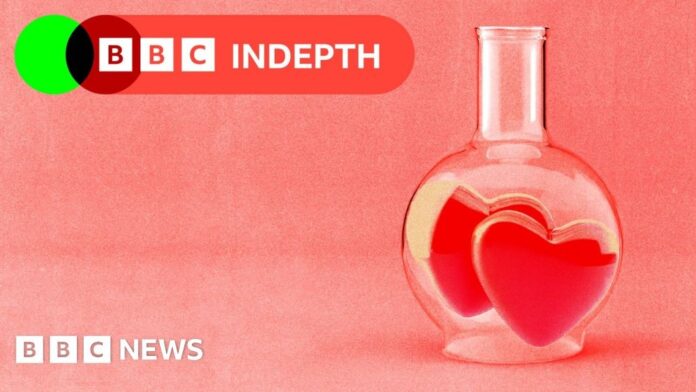 149d6c75-eae7-4c54-86e5-a3f999abd282