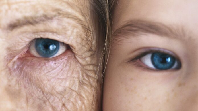 57f58dda-016f-4106-92cd-af702433614e