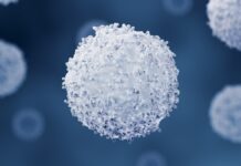 Останній рубіж мозку: імунні клітини жертвують собою, щоб зупинити поширення паразита