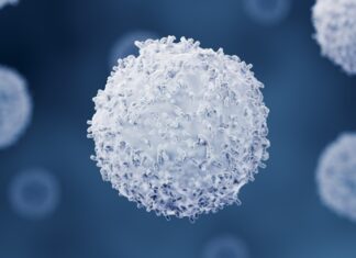 Le dernier combat du cerveau : les cellules immunitaires s’autodétruisent pour arrêter la propagation des parasites