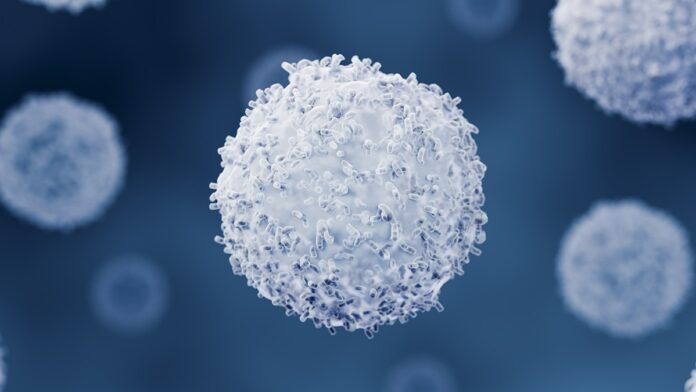 73277482-b8ca-4b87-8027-812ea053d62a