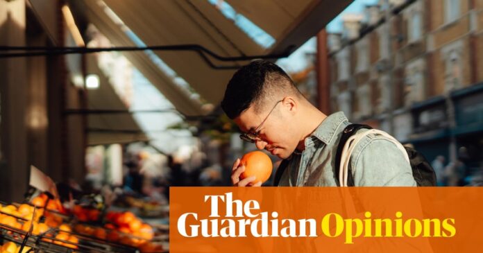 7332141d-673b-4b3a-8b90-b9b55957c685