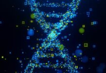 Прорив у Карті Альцгеймера: Виявлено Приховані Генетичні Фактори