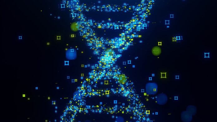 a50a62a3-3f3d-4c08-af43-21c6d068e104