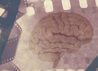 Alzheimer’s Memory Loss Tied to Disrupted Brain ‘Replay’