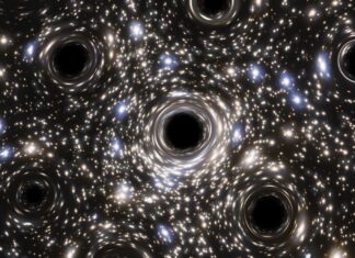 Zwarte gatenzwerm ontdekt in oude sterrenhoop