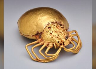 Royal Ransom : Comment une araignée ghanéenne a sauvé la vie d’un responsable britannique