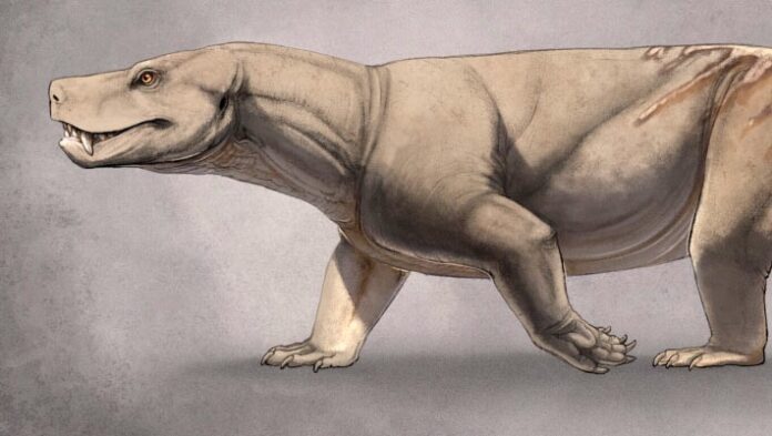 284a7253-80b4-4c6a-95a4-6e1d6d1120fc