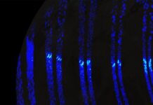 Ганімед, Супутник Юпітера, Демонструє Полярні Сяйва, Подібні до Земних