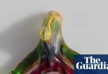 Клітор Повністю Картографований: Десятиліття Нехтування Привели до Прориву в Жіночій Сексуальній Анатомії