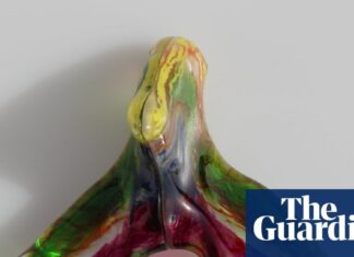 Clitoris entièrement cartographié : des décennies de négligence ont permis une percée dans l’anatomie sexuelle féminine