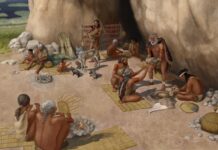 У людей були собаки до того, як вони займалися землеробством, підтверджує давня ДНК