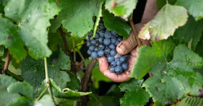 69823685-aef5-4539-a5fb-0afbecee0b33