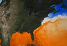 Deriva della Corrente del Golfo: un allarme precoce per il collasso della corrente atlantica?