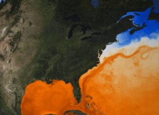 Deriva de la Corriente del Golfo: ¿Una alerta temprana sobre el colapso de la corriente del Atlántico?