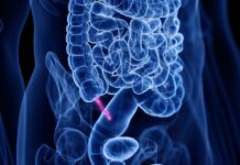 Lampiran: Bukan Sisa yang Tak Berguna, Tapi Penemuan Kembali yang Evolusioner