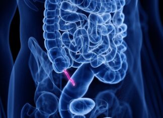 Der Anhang: Kein nutzloses Überbleibsel, sondern eine evolutionäre Neuerfindung