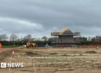 Rada Gloucestershire utratila 166 000 liber na nové domy pro netopýry uprostřed modernizace silnic