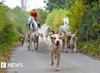 Divieto di caccia su sentieri in corso di revisione: il governo avvia una consultazione pubblica