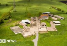 Ферма в Сомерсеті стане ключовим центром досліджень торфовищ