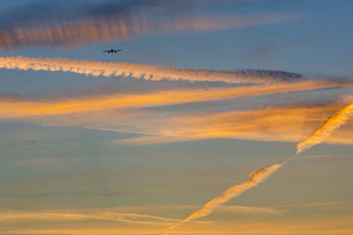 e7471787-f8f9-4ae4-95ca-5393ea6c0733