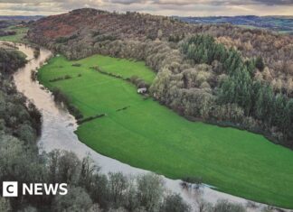 Знаковый экологический иск: 4500 истцов против птицеводного гиганта и коммунальной службы