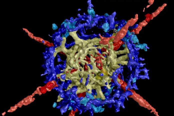 1c250074-71e1-4425-8f45-a67813d85057