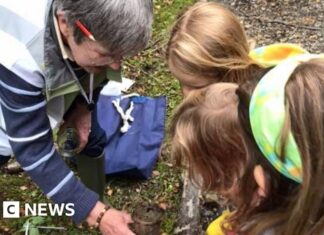 Celebrating Isle of Man Biodiversity: A Guide to Manx Wildlife Week