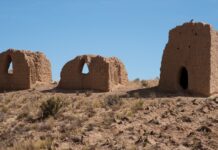 Mumi Bolivia Kuno Mengungkap Bukti Awal Bakteri Strep di Amerika